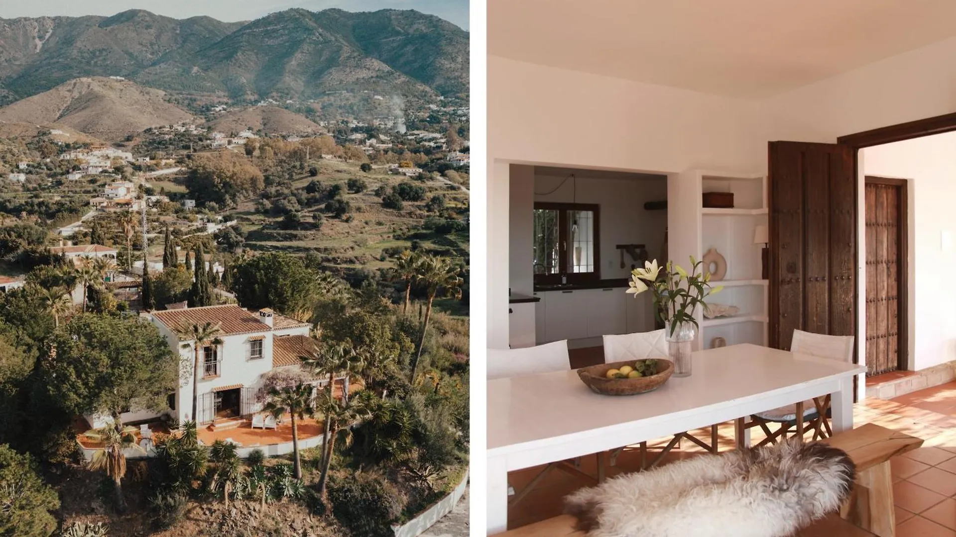 The Collector\'S House Finca With Sea View contacts